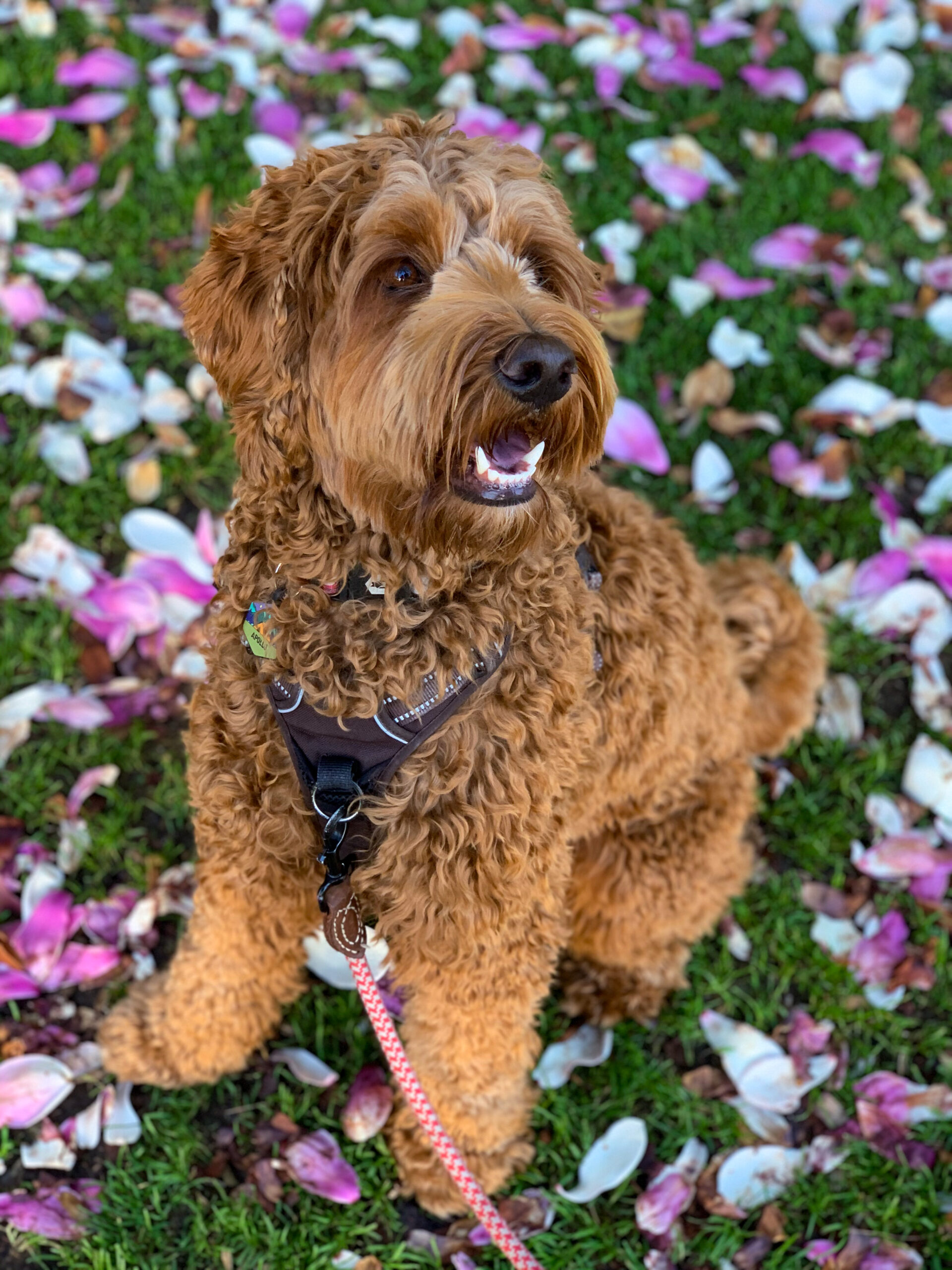 0D1C059D-50A4-47E2-85A3-1789C91AB56E