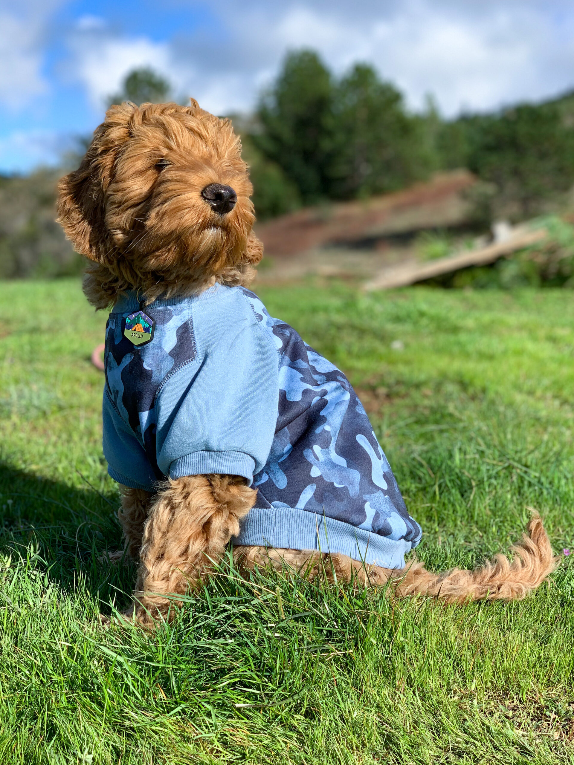 29B5C2B1-5BFD-47C1-AC98-24D0A38F2778 2