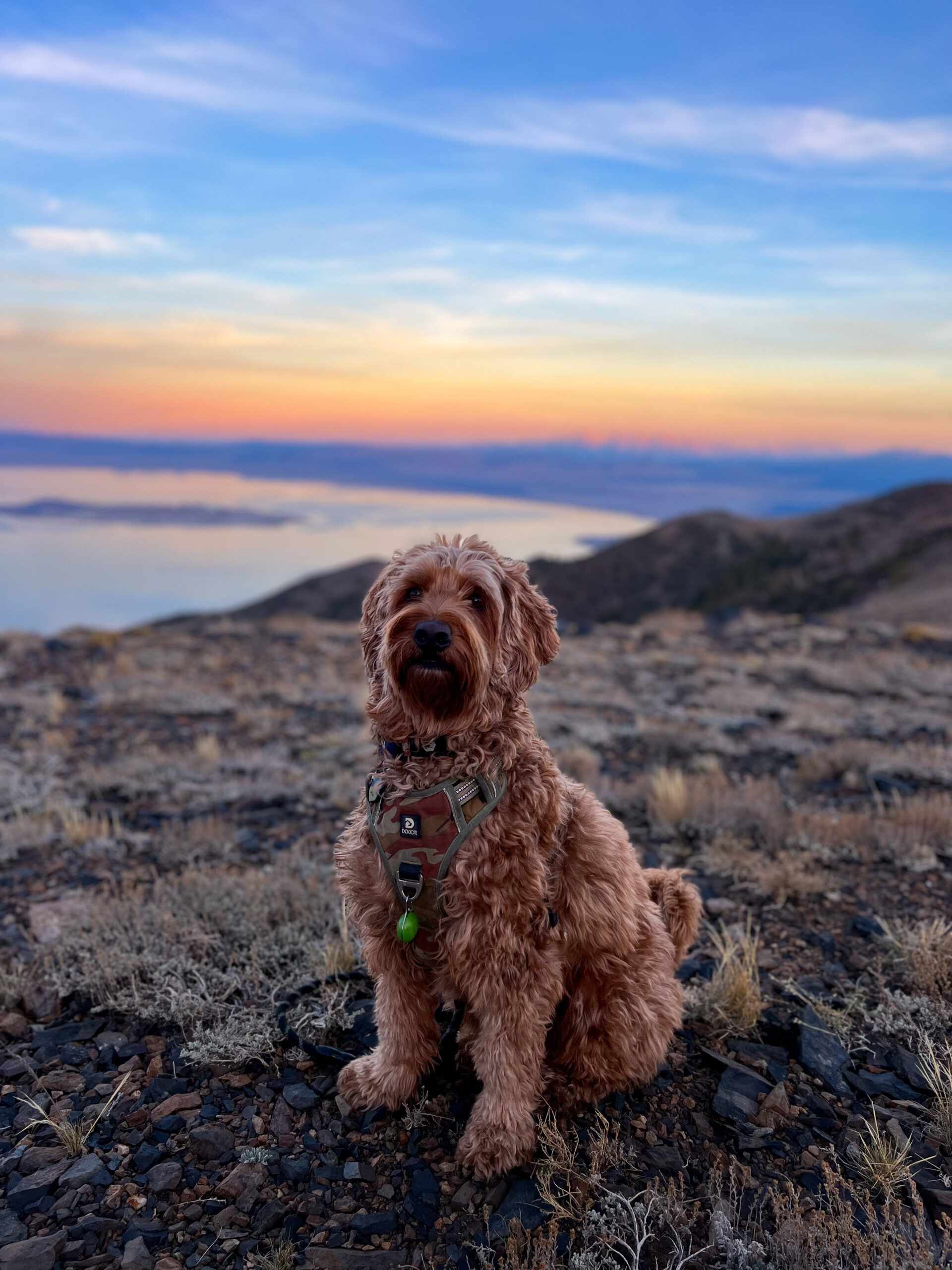 61178FA7-467D-4FDC-82A2-FE26E313298F