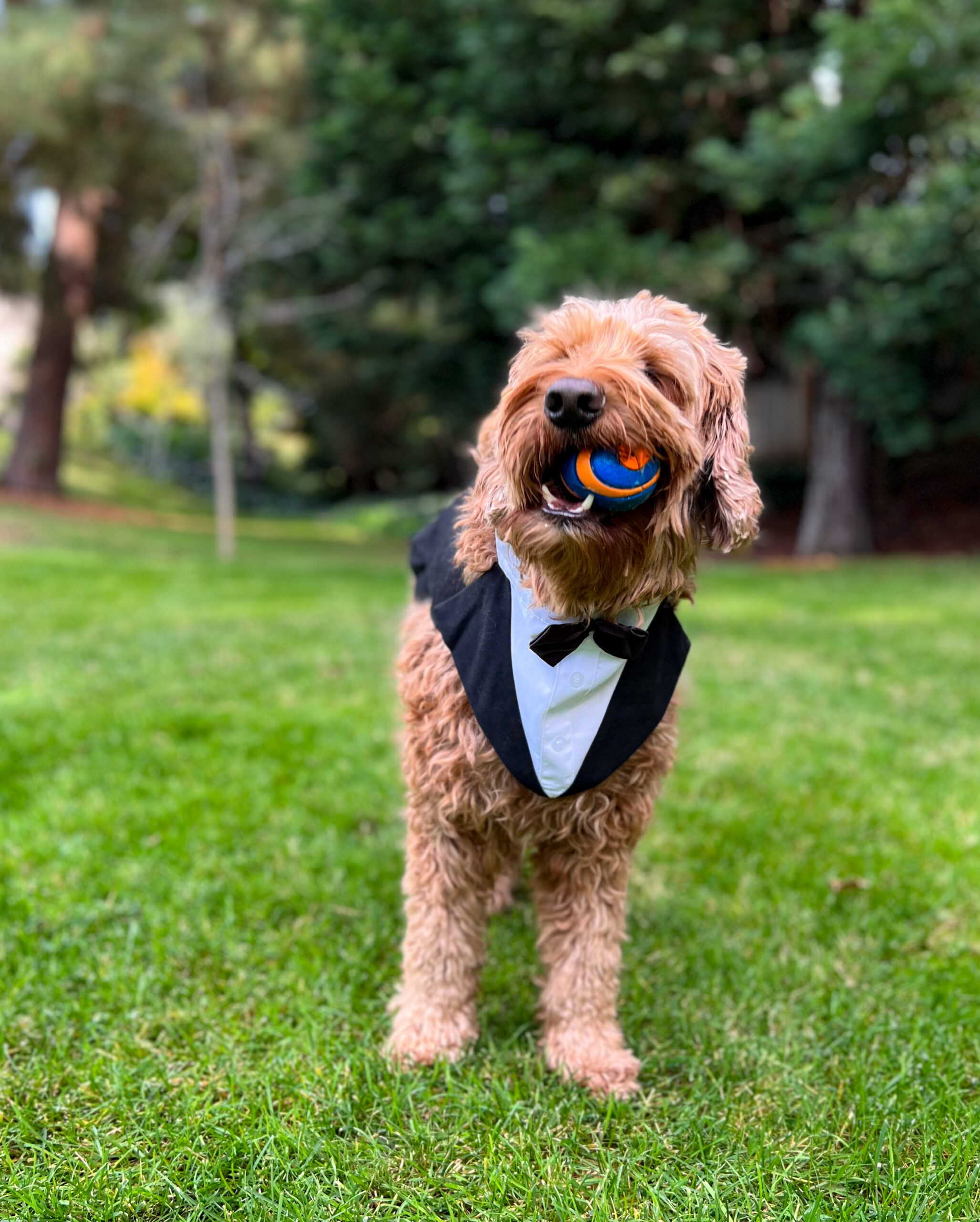 68CCA1EF-6623-4F83-8019-A8C5E293CA98 2