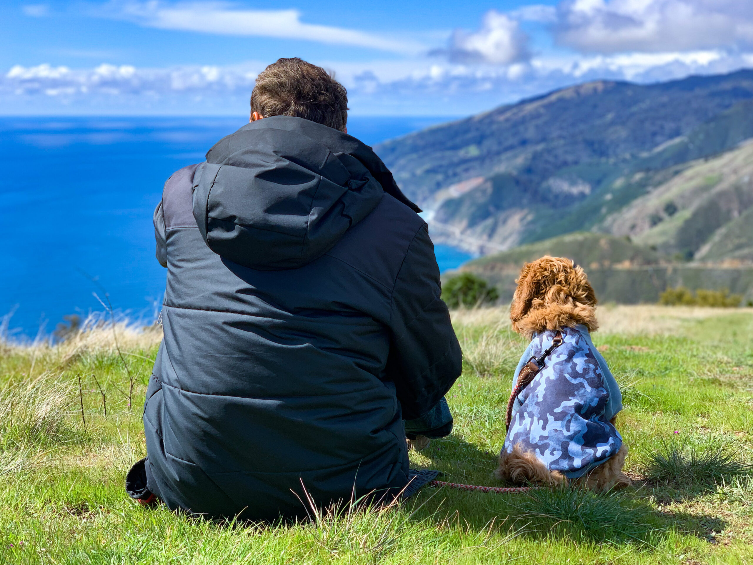 6A42C768-0A5A-4304-A19F-3BE271D49A58