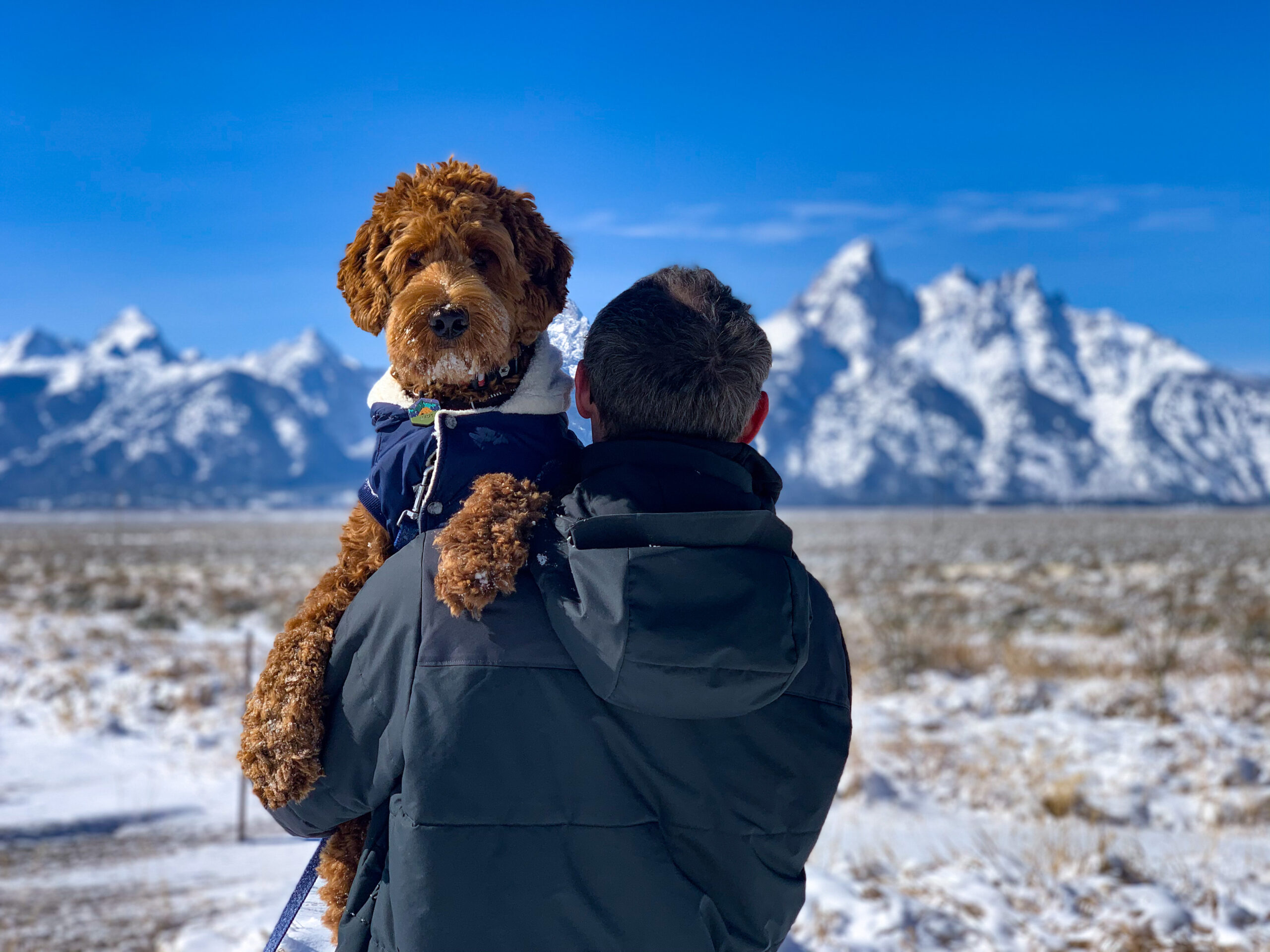 72773D24-D531-4530-8C6D-06C69516C176