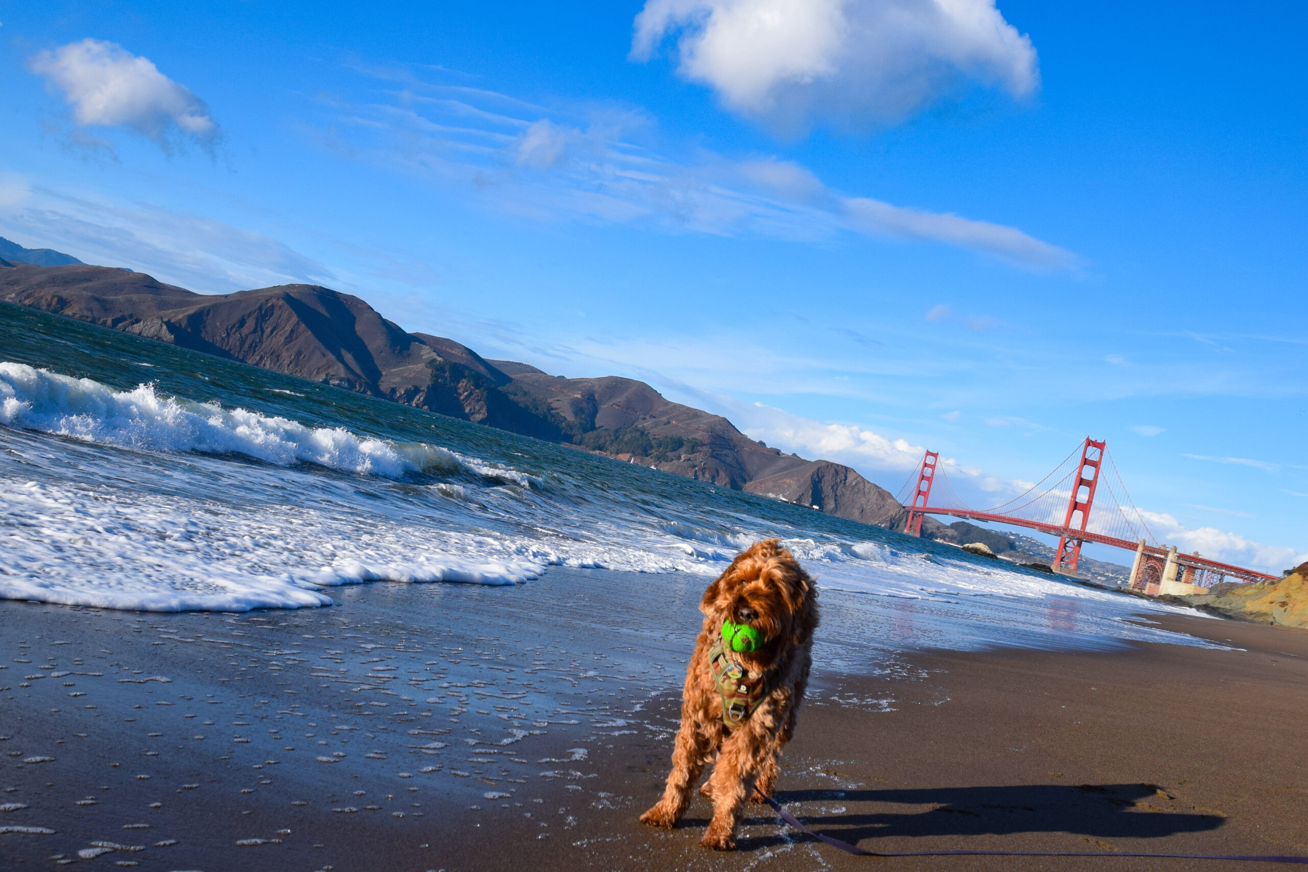 9C954C43-B82D-4C2A-B849-4F287DEB3005 2