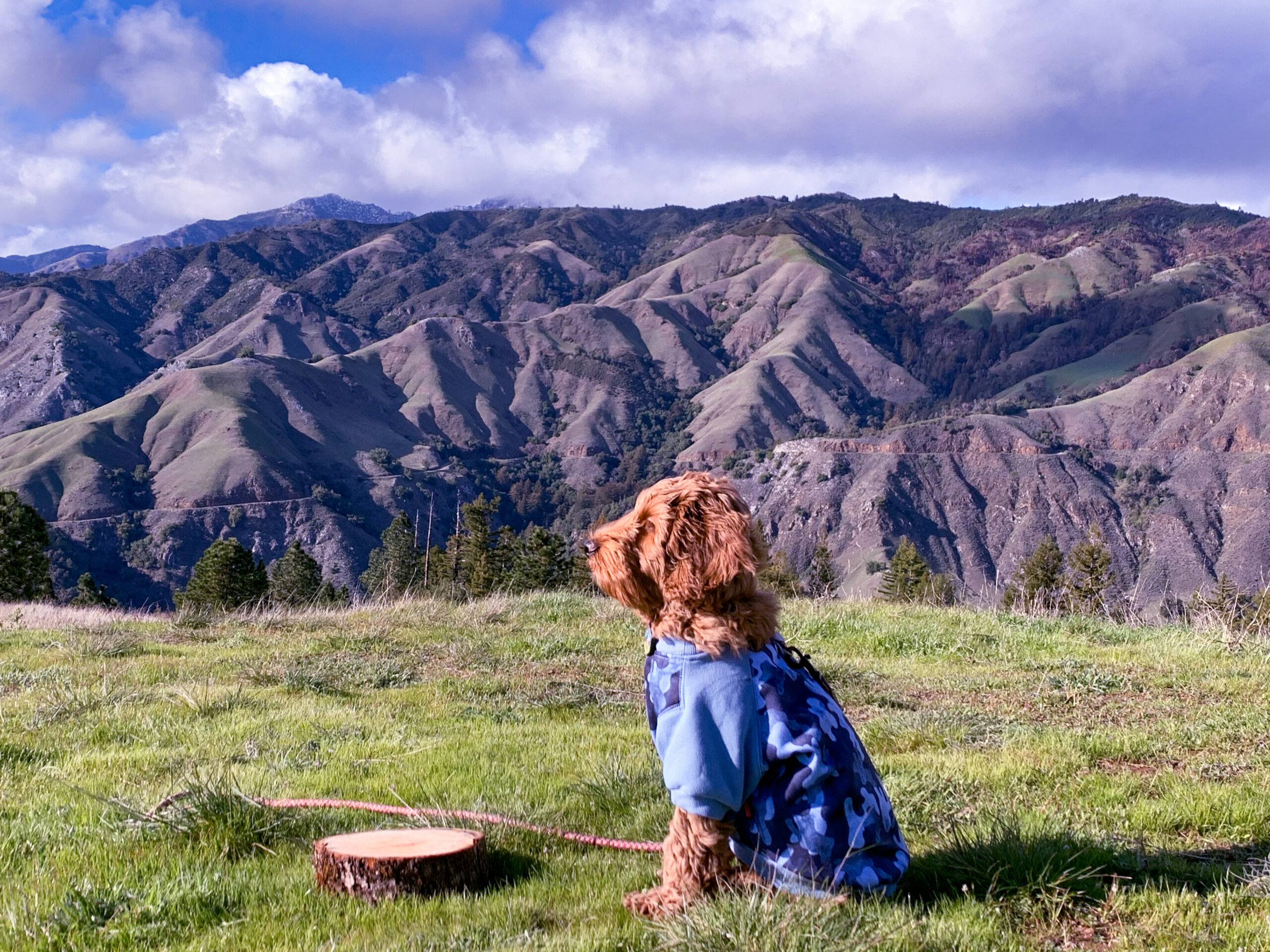 C30B7EA6-427E-4E22-BB42-18B7AA734BFF 2