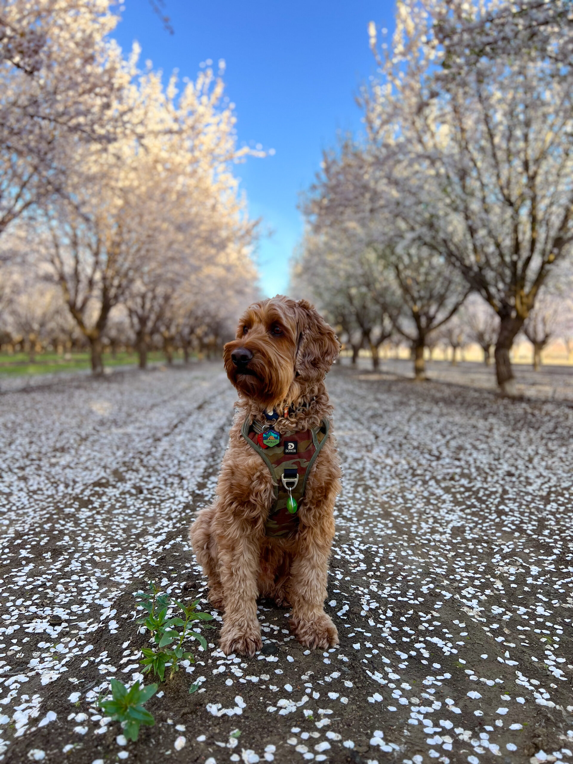 DA3552D7-0125-422F-AF00-7EB542307741