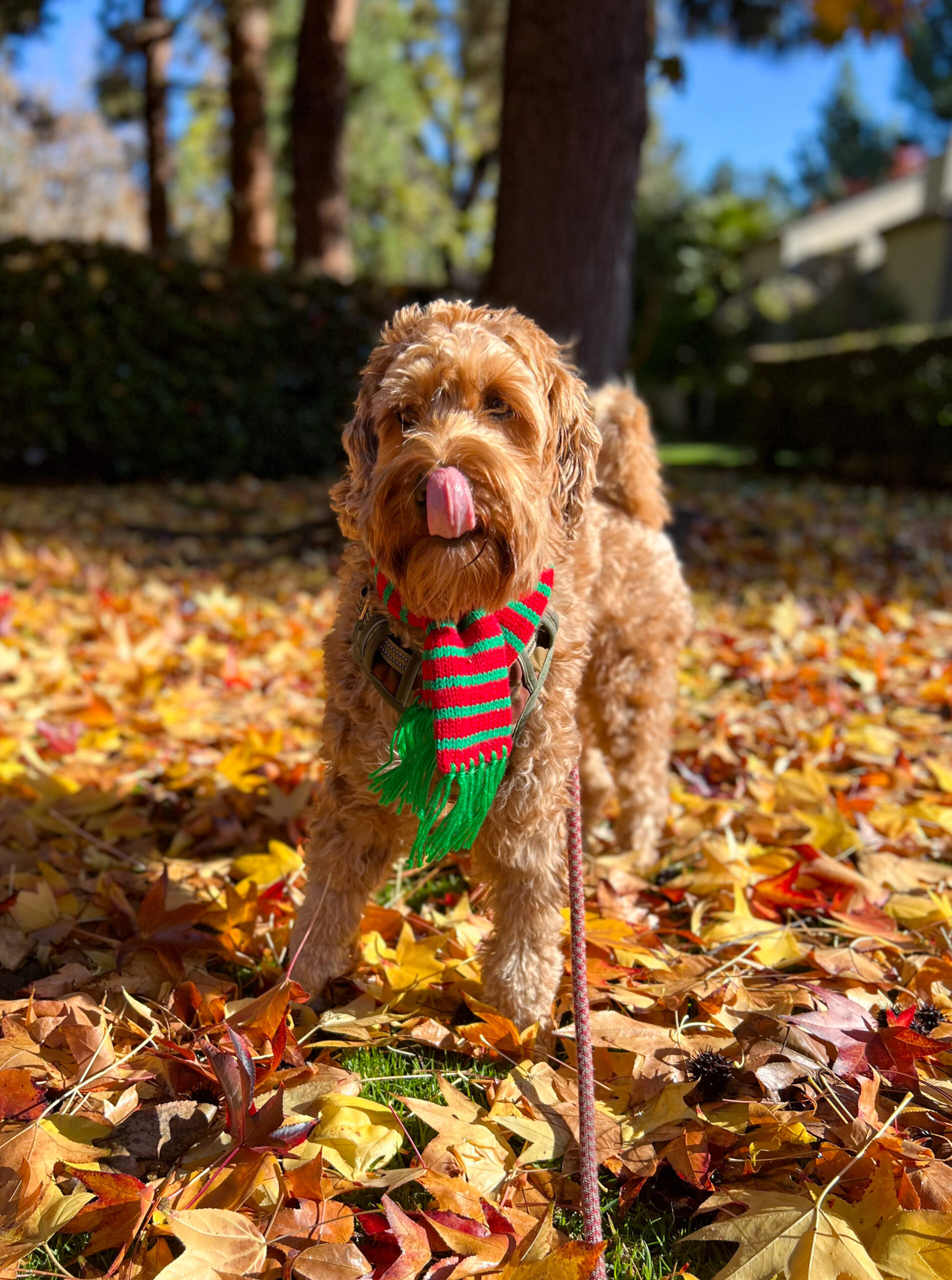 E46EECEF-78A0-428C-B41A-2E21F16A1CD7