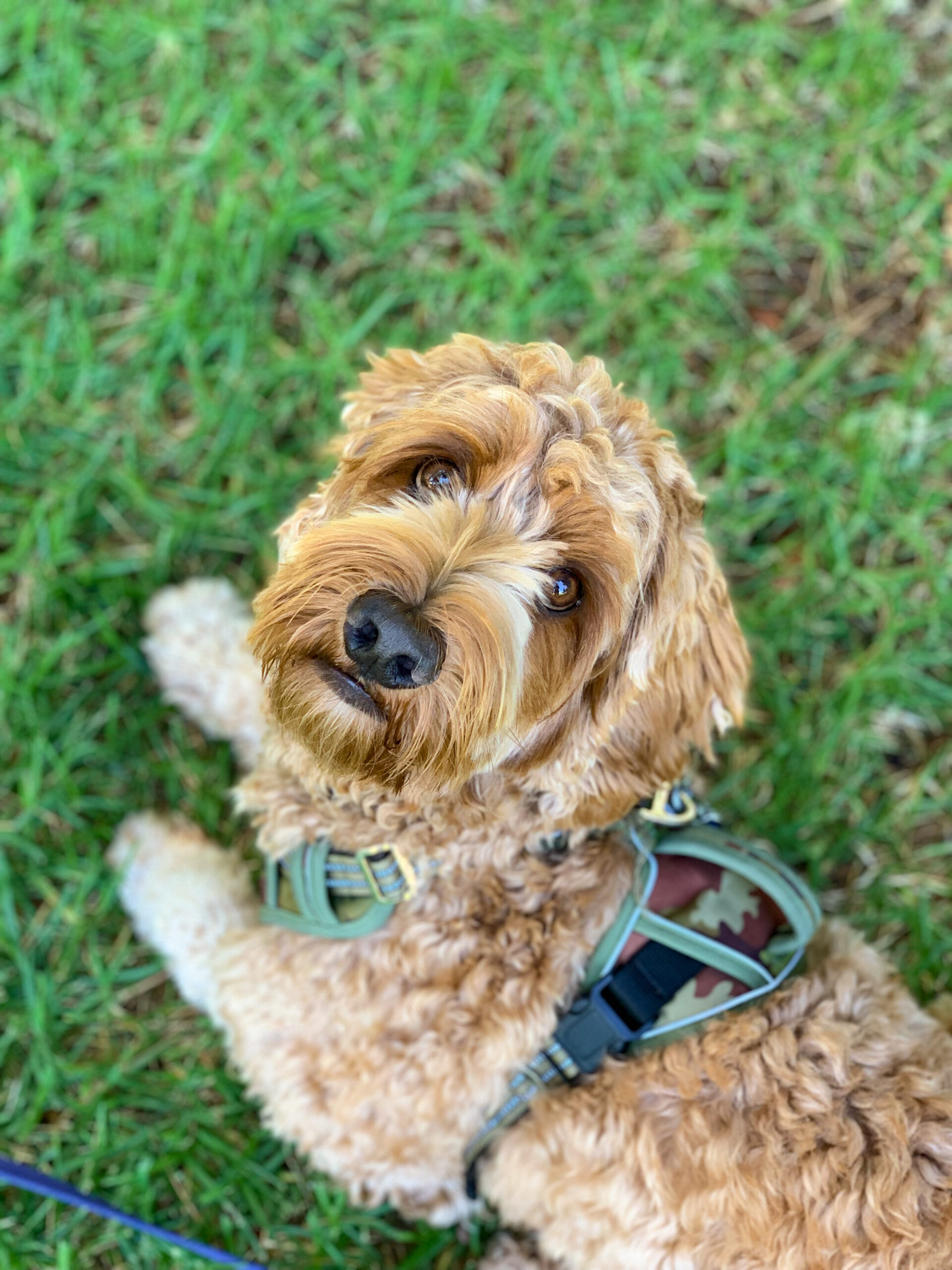 E69FE8DA-F48A-490B-B351-B80B812D0FE6 2