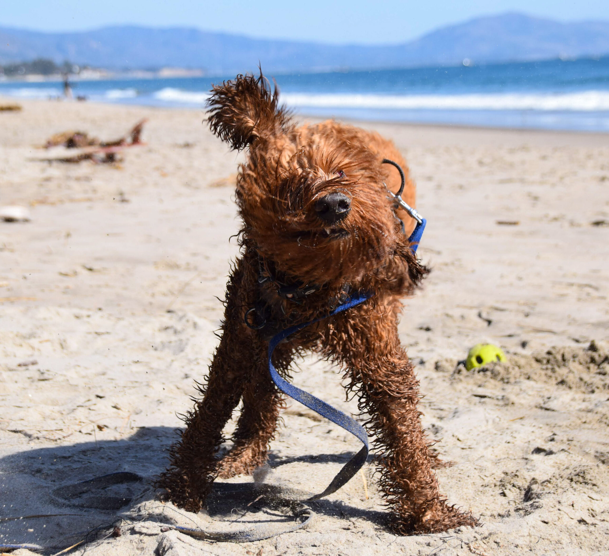 FFACFBBC-C864-4B98-B215-A104FECC8C57